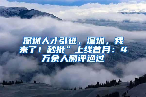 深圳人才引进，深圳，我来了！秒批”上线首月：4万余人测评通过