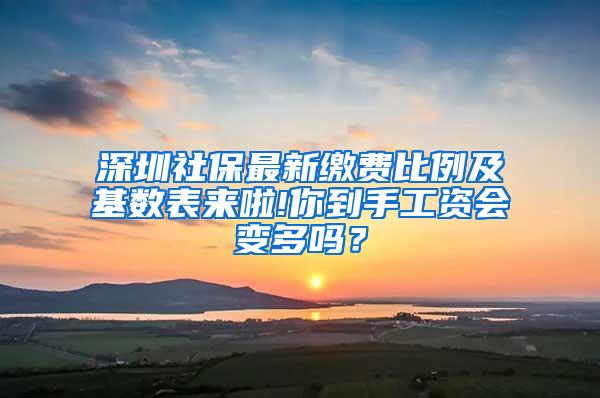 深圳社保最新缴费比例及基数表来啦!你到手工资会变多吗？