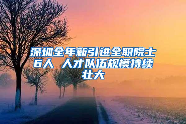 深圳全年新引进全职院士6人 人才队伍规模持续壮大