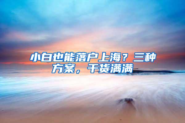 小白也能落户上海？三种方案，干货满满