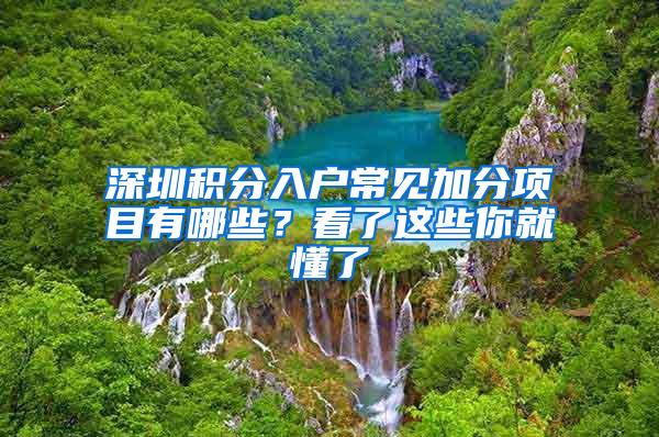 深圳积分入户常见加分项目有哪些？看了这些你就懂了