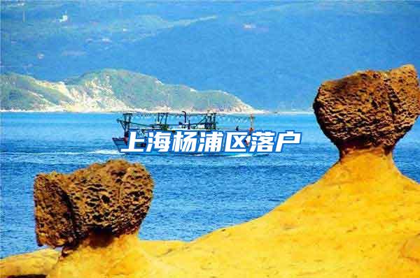 上海杨浦区落户