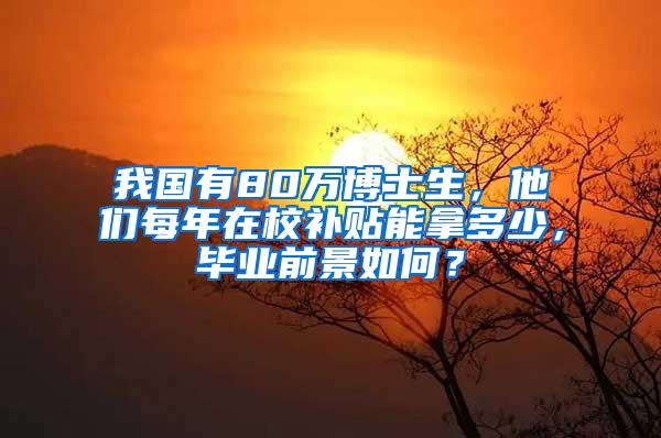 我国有80万博士生，他们每年在校补贴能拿多少，毕业前景如何？