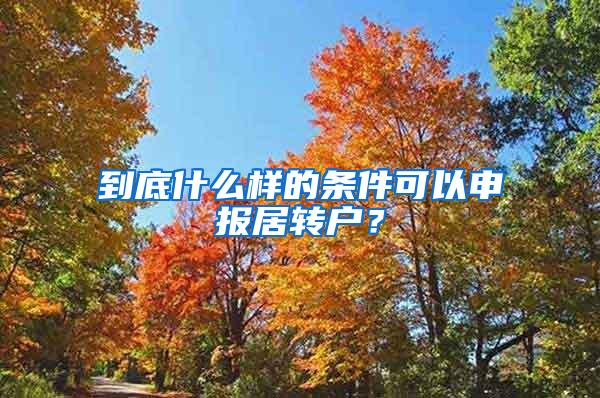 到底什么样的条件可以申报居转户？