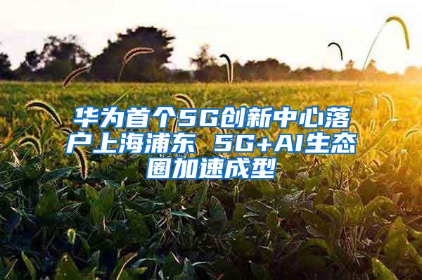 华为首个5G创新中心落户上海浦东 5G+AI生态圈加速成型