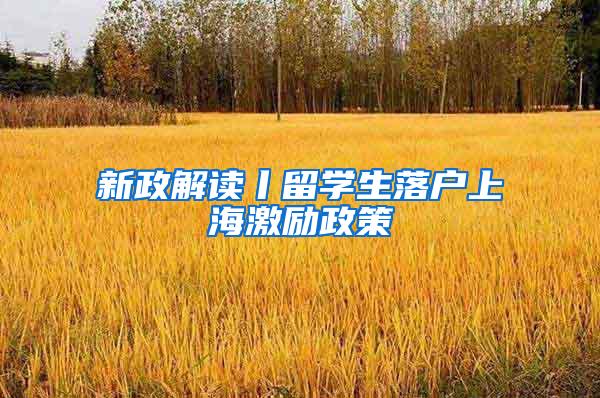 新政解读丨留学生落户上海激励政策