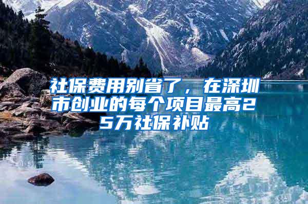 社保费用别省了，在深圳市创业的每个项目最高25万社保补贴