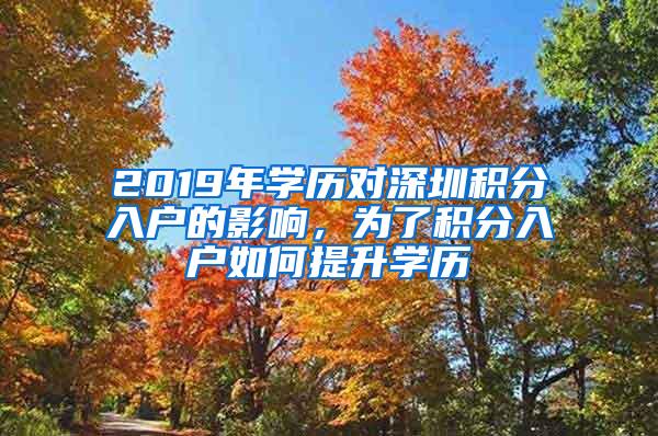 2019年学历对深圳积分入户的影响，为了积分入户如何提升学历