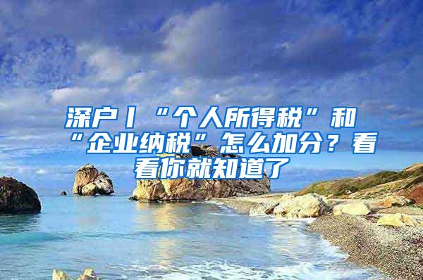 深户丨“个人所得税”和“企业纳税”怎么加分？看看你就知道了