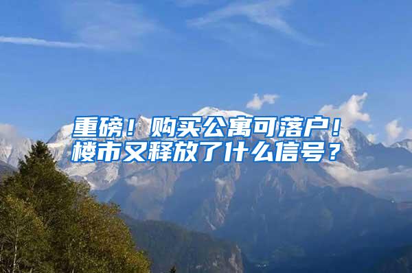 重磅！购买公寓可落户！楼市又释放了什么信号？