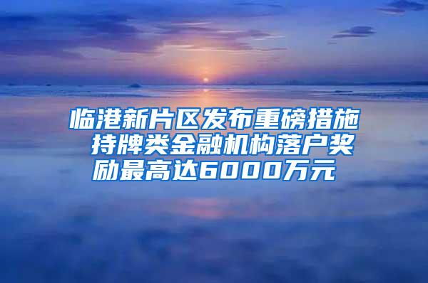 临港新片区发布重磅措施 持牌类金融机构落户奖励最高达6000万元