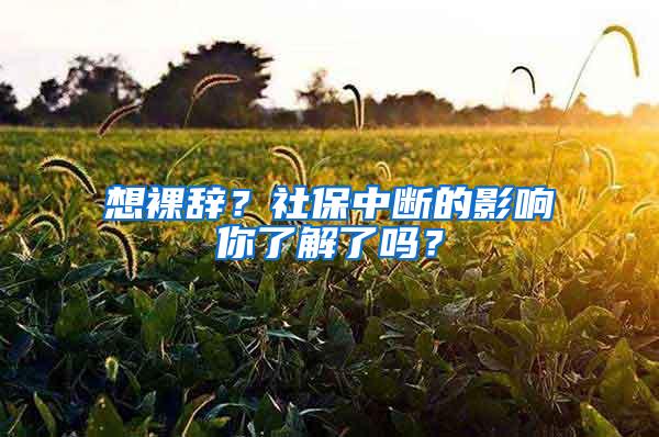 想裸辞？社保中断的影响你了解了吗？