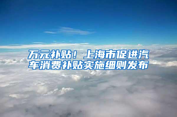 万元补贴！上海市促进汽车消费补贴实施细则发布