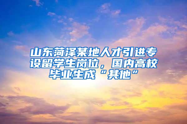 山东菏泽某地人才引进专设留学生岗位，国内高校毕业生成“其他”