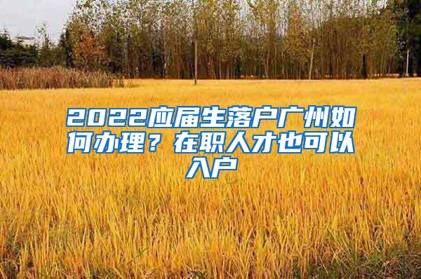 2022应届生落户广州如何办理？在职人才也可以入户