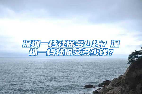 深圳一档社保多少钱？深圳一档社保交多少钱？