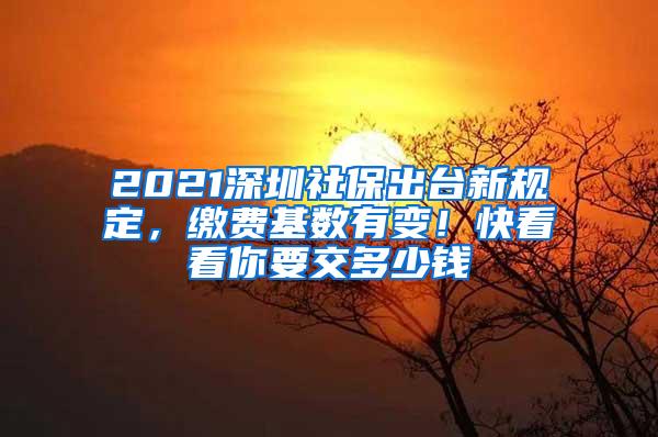 2021深圳社保出台新规定，缴费基数有变！快看看你要交多少钱