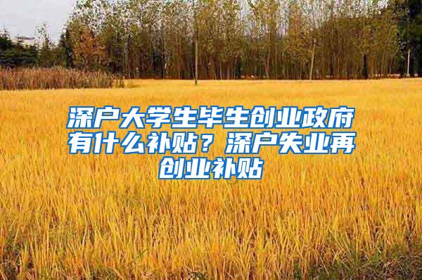 深户大学生毕生创业政府有什么补贴？深户失业再创业补贴