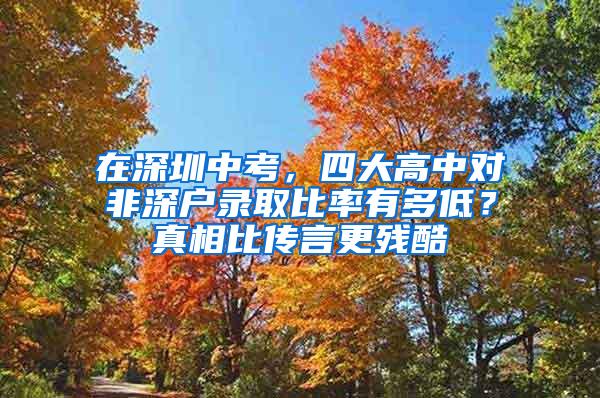 在深圳中考，四大高中对非深户录取比率有多低？真相比传言更残酷