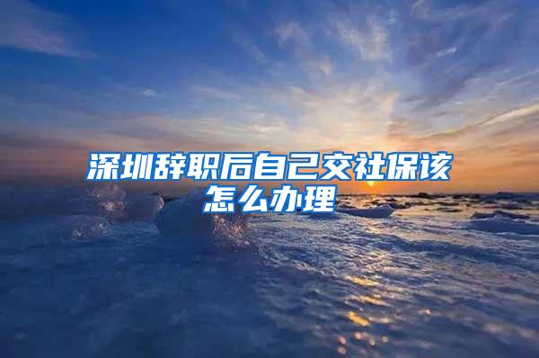 深圳辞职后自己交社保该怎么办理