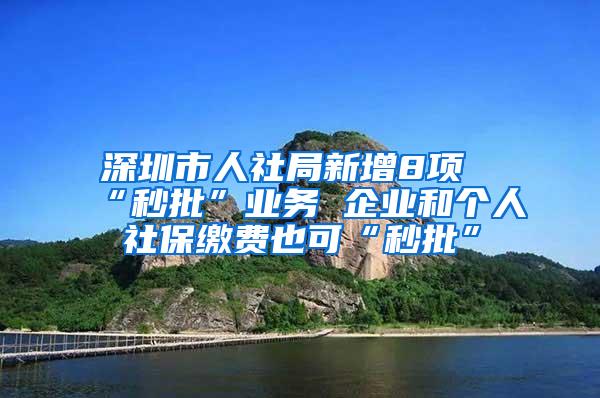 深圳市人社局新增8项“秒批”业务 企业和个人社保缴费也可“秒批”