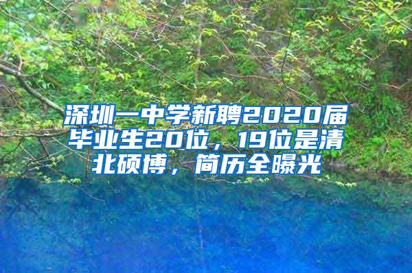 深圳一中学新聘2020届毕业生20位，19位是清北硕博，简历全曝光