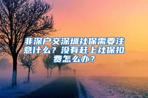 非深户交深圳社保需要注意什么？没有赶上社保扣费怎么办？