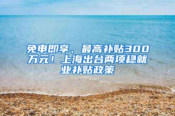 免申即享、最高补贴300万元！上海出台两项稳就业补贴政策