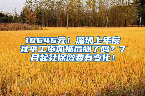 10646元！深圳上年度社平工资你拖后腿了吗？7月起社保缴费有变化！