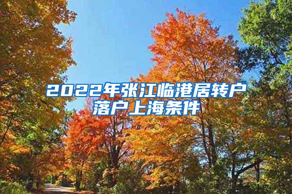 2022年张江临港居转户落户上海条件