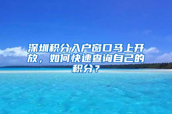 深圳积分入户窗口马上开放，如何快速查询自己的积分？