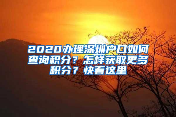 2020办理深圳户口如何查询积分？怎样获取更多积分？快看这里