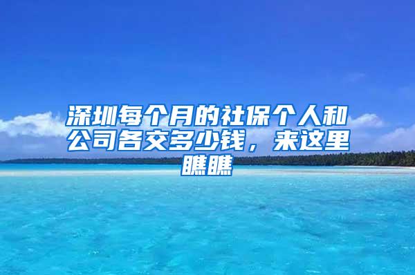 深圳每个月的社保个人和公司各交多少钱，来这里瞧瞧