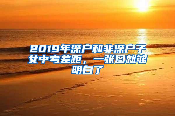 2019年深户和非深户子女中考差距，一张图就够明白了