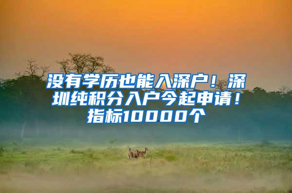 没有学历也能入深户！深圳纯积分入户今起申请！指标10000个