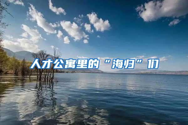 人才公寓里的“海归”们