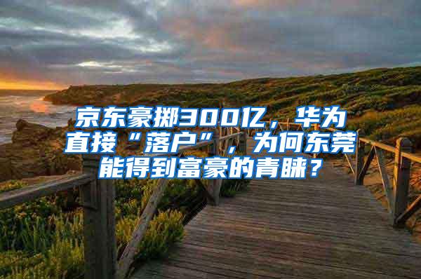 京东豪掷300亿，华为直接“落户”，为何东莞能得到富豪的青睐？