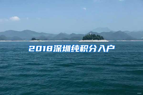 2018深圳纯积分入户