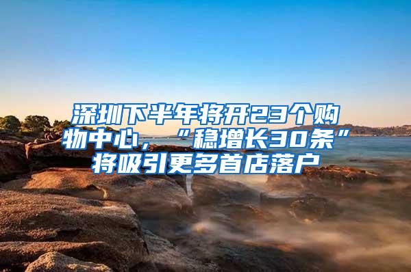 深圳下半年将开23个购物中心，“稳增长30条”将吸引更多首店落户