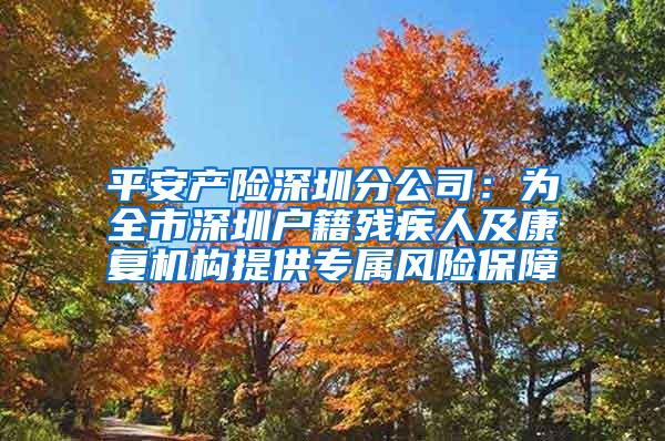 平安产险深圳分公司：为全市深圳户籍残疾人及康复机构提供专属风险保障