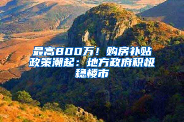 最高800万！购房补贴政策潮起：地方政府积极稳楼市