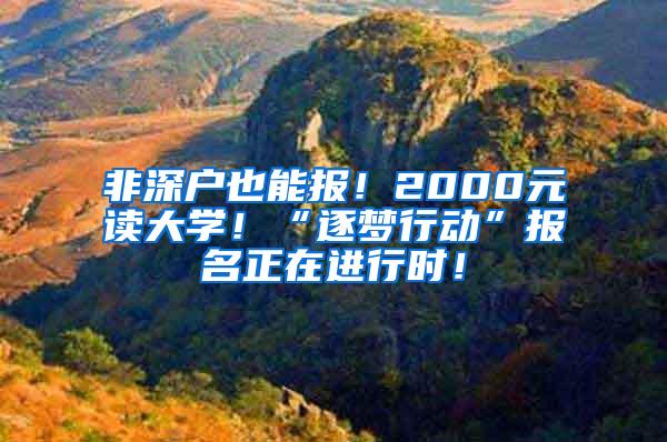 非深户也能报！2000元读大学！“逐梦行动”报名正在进行时！