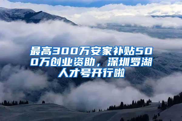 最高300万安家补贴500万创业资助，深圳罗湖人才号开行啦