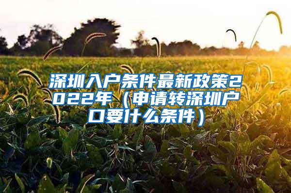 深圳入户条件最新政策2022年（申请转深圳户口要什么条件）