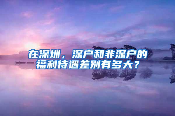 在深圳，深户和非深户的福利待遇差别有多大？