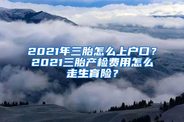 2021年三胎怎么上户口？2021三胎产检费用怎么走生育险？