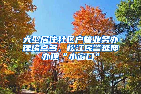 大型居住社区户籍业务办理堵点多，松江民警延伸办理“小窗口”