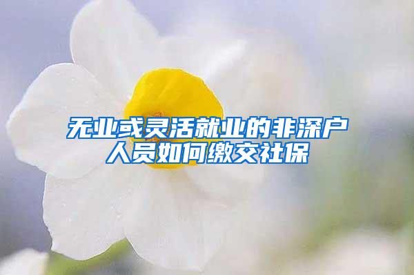 无业或灵活就业的非深户人员如何缴交社保