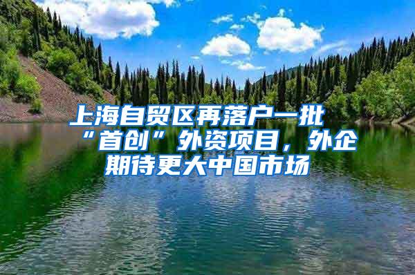 上海自贸区再落户一批“首创”外资项目，外企期待更大中国市场