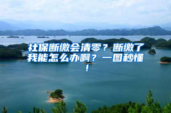 社保断缴会清零？断缴了我能怎么办啊？一图秒懂！